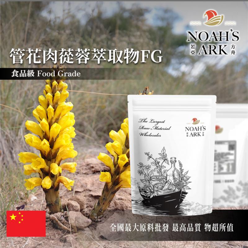若亞方舟 管花肉蓯蓉萃取物FG 中國 毛蕊糖甙3% 松果菊18% 保健原料 食品原料 沙漠人參
