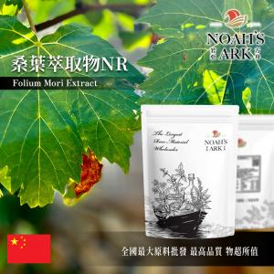 若亞方舟 桑葉萃取物NR 中國 2：1 保健原料 食品原料