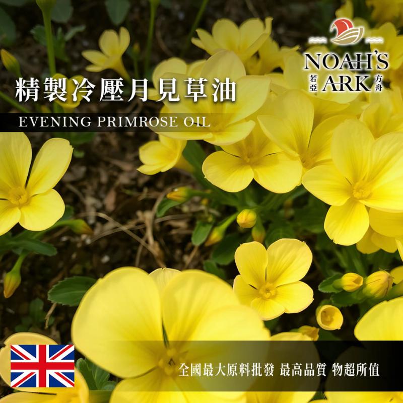若亞方舟 精製冷壓月見草油 英國 化工原料 植物油